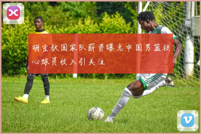胡金秋国家队薪资曝光中国男篮核心球员收入引关注